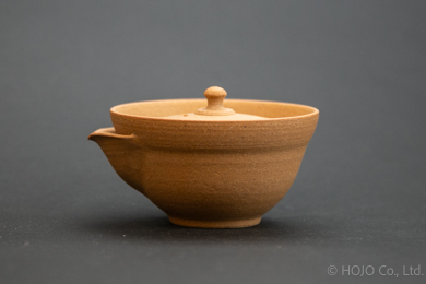 Japanese teapot