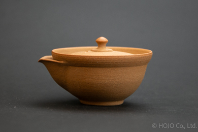 Japanese teapot