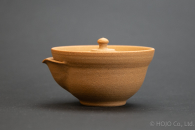 Japanese teapot