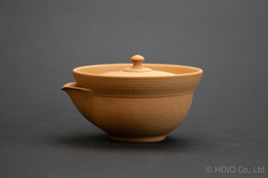 Japanese teapot