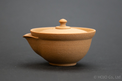 Japanese teapot
