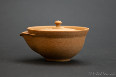 Japanese teapot