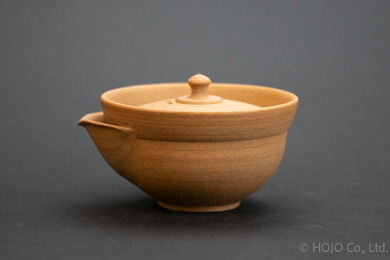 Japanese teapot