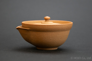 Japanese teapot