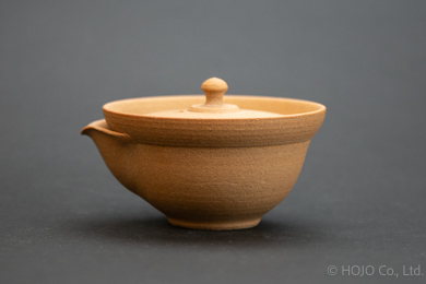 Japanese teapot