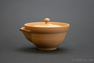 Japanese teapot