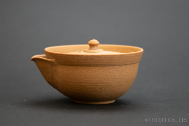 Japanese teapot