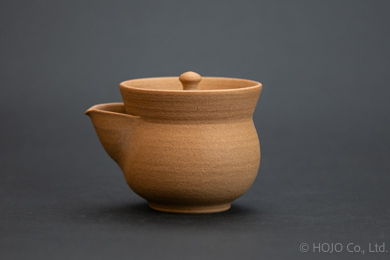 Japanese teapot