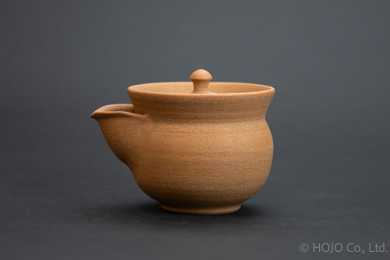 Japanese teapot