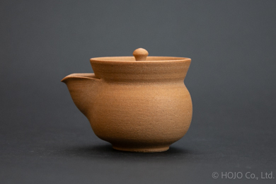 Japanese teapot