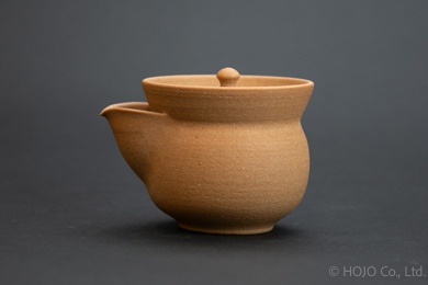 Japanese teapot