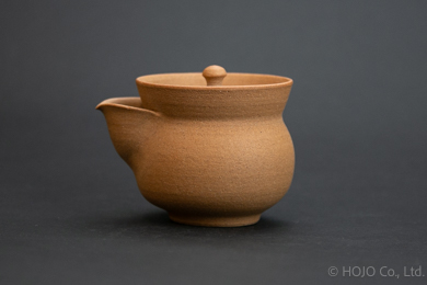 Japanese teapot