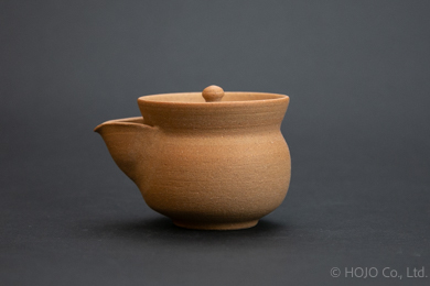 Japanese teapot