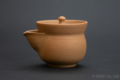 Japanese teapot