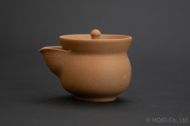 Japanese teapot