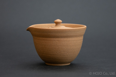 Japanese teapot