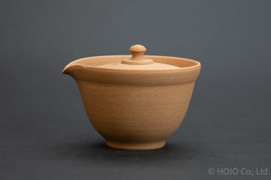 Japanese teapot