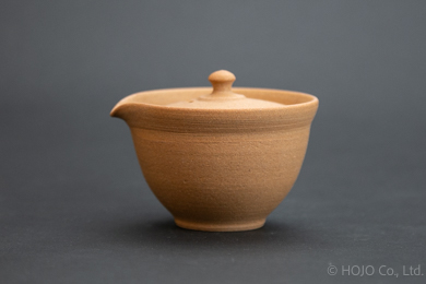 Japanese teapot