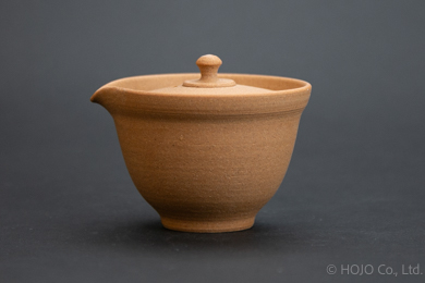 Japanese teapot