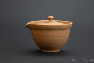 Japanese teapot