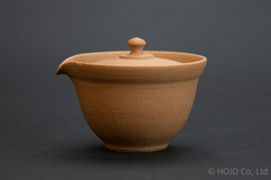 Japanese teapot