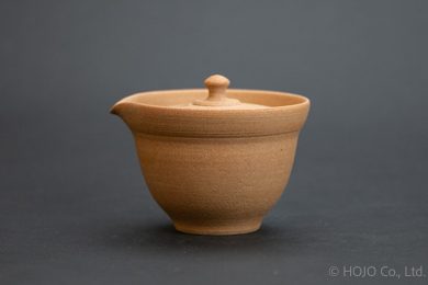 Japanese teapot