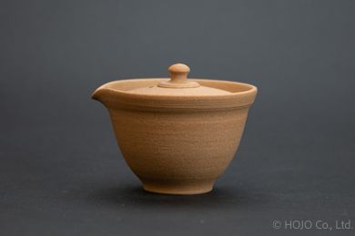 Japanese teapot