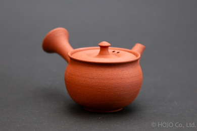 Japanese teapot
