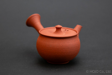 Japanese teapot