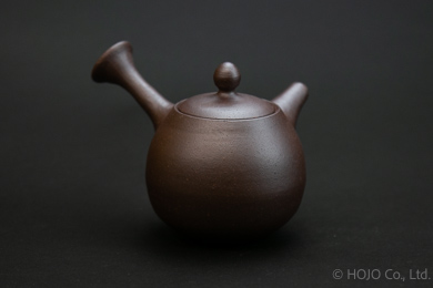 Japanese teapot
